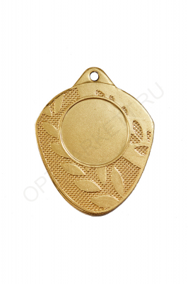 Медаль 107.01 золото, 45*50 мм.